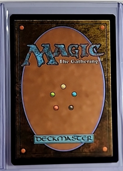 MTG Magic The Gathering SLD Secret Lair Retro Frame Foil #841 Fleshbag Marader - Image 2