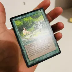 MTG Sylvan Paradise Legends Regular Magic the Gathering LP - Image 2