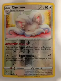 Cinccino 147/202 Sword & Shield Base Set Pokemon Reverse Holo Foil Nice! - Image 1