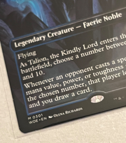 MTG Talion the Kindly Lord - Borderless - Wilds of Eldraine - #301 - Image 3