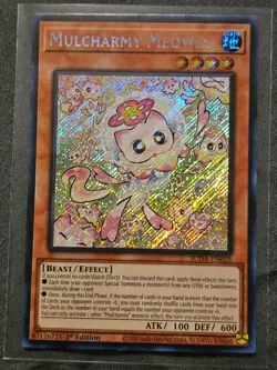 Mulcharmy Meowls NM SUDA-EN025 Secret Rare YuGiOh - Image 1