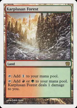 MTG KARPLUSAN FOREST EXC - FORESTA DI KARPLUS - 9TH - MAGIC ITALIAN - Image 1