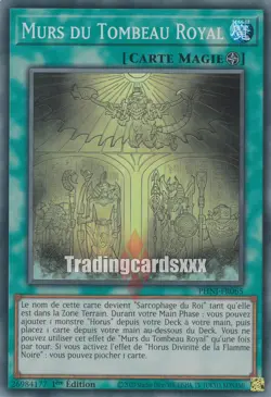 Yu-Gi-Oh! Murs du Tombeau Royal : SR PHNI-FR065 - Image 1