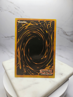 Custom Blue-Eyes White Dragon / Dark Magician RA04 Quarter Century Yugioh Card - Image 3