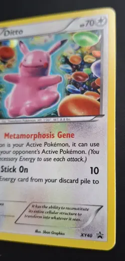 Pokemon TCG Ditto XY40 Black Star Promo Holo Card Near Mint Condition - Image 5