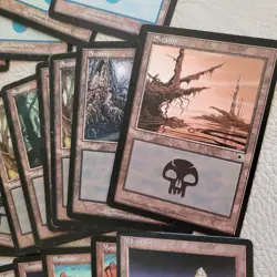 100+ Basic Lands Plains island swamp mountain forest OLDSCHOOL HP Condition MTG - Image 3