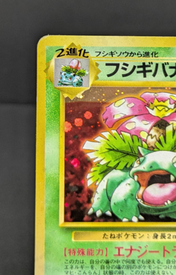 Venusaur No.003 CD Holo Promo 1998 Japanese Pokemon Card Game LP- - Image 4