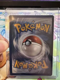 Oricorio EX #24 Mega Evolution Phantasmal Flames Black Star Promo Card NM - Image 4