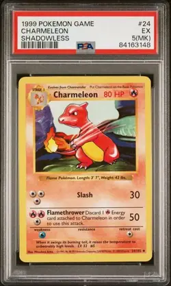 1999 Pokemon Charmeleon 24/102 Base Set Shadowless PSA 5(MK) EX - Image 1