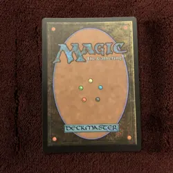 Forest (The Dracula Lands) Secret Lair Drop Foil NM MTG Magic The Gathering - Image 2