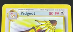 POKEMON JUNGLE UNLIMITED PIDGEOT NONHOLO 24/64 LP/INKED - Image 3
