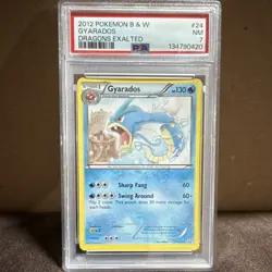 Pokemon Gyarados 24/124 Dragons Exalted Regular Rare PSA 7 English - Image 1