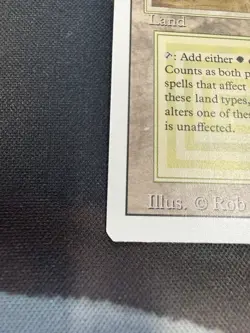 Savannah - Magic the Gathering - Revised Edition Lp/Mp - Image 2