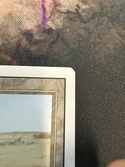 Savannah - Magic the Gathering - Revised Edition Lp/Mp - Image 4