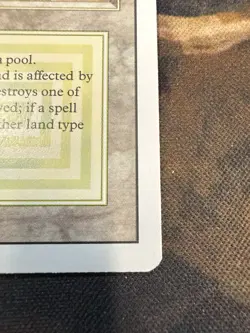 Savannah - Magic the Gathering - Revised Edition Lp/Mp - Image 5