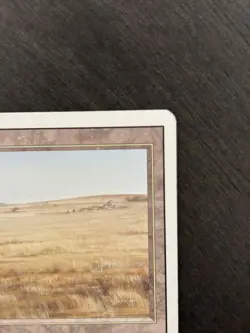 Savannah - MP/LP - Magic the Gathering Revised Edition - Image 4