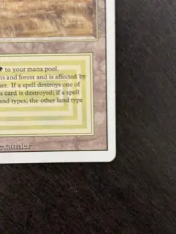 Savannah - MP/LP - Magic the Gathering Revised Edition - Image 5