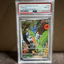 Pokemon Tropius 195/193 Sv02: Paldea Evolved Illustration Rare Holo PSA 8. TCG - Image 1