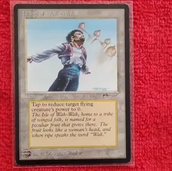 Magic: The Gathering Island of Wak-Wak Land Arabian Nights 1993 - Image 1