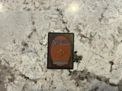 Squandered Resources Chinese - Magic the Gathering Chinese Squandered Resources - Image 2