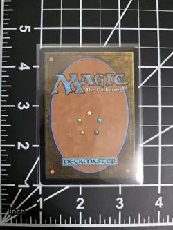 The Walls of Ba Sing Se 0261 Avatar: The Last Airbender NM/M **FREE SHIPPING** - Image 2