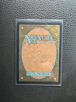 The Walls of Ba Sing Se - 0261 - Avatar: The Last Airbender TLA - MTG - NM/M - Image 2