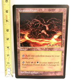 Magic The Gathering KARPLUSAN FOREST Large 6" X 9" Promo Card 1997 - Image 1