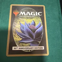 Magic The Gathering Tundra 30th Anniversary Edition Regular NM - Image 2