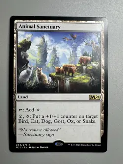 Animal Sanctuary | Core Set 2021 | #242 | Rare | NM - Image 1