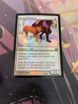 MTG - TRAINED CARACAL - COMMON - FOIL - RETURN TO RAVNICA - LP - Image 1
