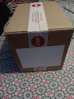 Sealed Case of Pokemon Hisuian Electrode V Boxes - Image 3