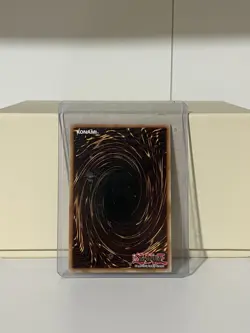 Yu-Gi-Oh! - Dragons of Legend 2 Toon Kingdom DRL2-EN023 Secret Rare 1st Edition - Image 2