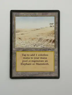 Elephant Graveyard - M:TG Arabian Nights Magic: the Gathering - Image 1
