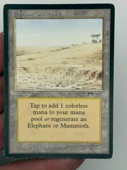 Elephant Graveyard - M:TG Arabian Nights Magic: the Gathering - Image 3