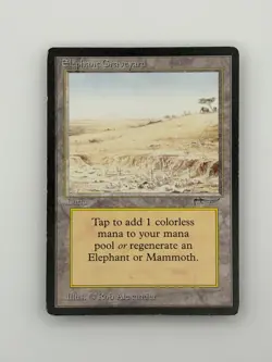 Elephant Graveyard - M:TG Arabian Nights Magic: the Gathering - Image 4