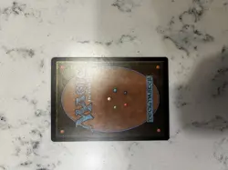 Magic the Gathering MTG Hallowed Fountain Rare Card NM/M Eclipsed - Image 2