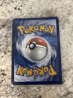Pokemon TCG Raging Bolt EX #145 Scarlet & Violet Black Star Promo NM Condition - Image 2
