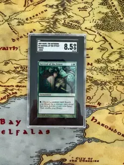 FOIL Survival of the Fittest - Judge Promos (JDG) (NM+) MTG Magic the Gathering - Image 2