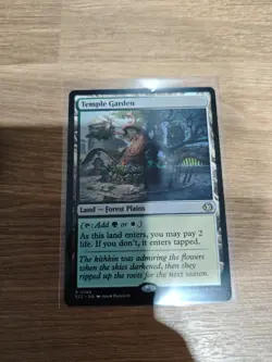Temple Garden Rare MTG NM Lorwyn Eclipsed - Image 1