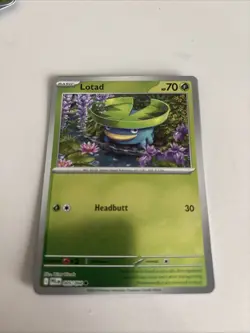 Lotad 005/094 - Reverse Holo - Me02 Phantasmal Flames Pokemon TCG CCG NM - Image 1