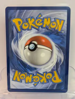 Team Rocket's Wobbuffet - SVP203 - SVP Black Star Promos - Holo (Pokemon Center - Image 2