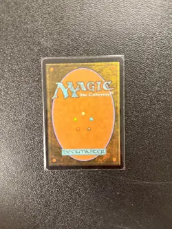 Painter's Servant - Shadowmmon SHM Magic the Gathering Card MTG LP ETC1 - Image 2