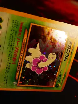 NM JAPANESE Pokemon MEGANIUM Card PREMIUM FILE 1 Set #154 Neo Genesis HOLO#3 - Image 5