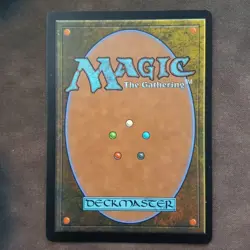 Magic: The Gathering MISTY RAINFOREST Modern Horizons 2 RARE Fetch Land - Image 2