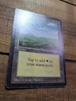 Magic the Gathering MTG Plains v.3 (Dark) - Image 2