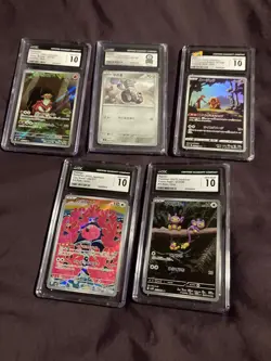 Pokemon slab lot and 1 world record breaks Varoom Aipom Flamingo Jynx turtanator - Image 1