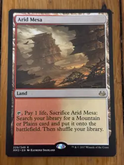 Arid Mesa - Modern Masters 3 - MTG - 229/249 - Image 1