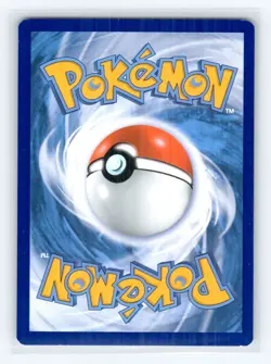 Cyndaquil - Promo SWSH: Sword & Shield Promo Cards SWSH221 NM - Image 2