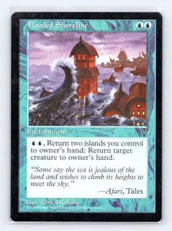 Visions Flooded Shoreline - Image 1