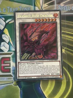 Bramble Rose Dragon Secret Rare Card DOOD-EN039 1st Edition NM Condition - Image 1